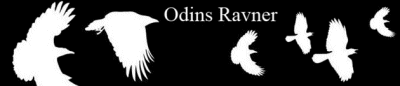 Odins Ravner