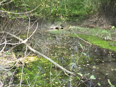 Turvei Veitvet-Hølaløkka